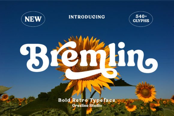 Bremlin: Unlocking a Groovy Retro Vibe