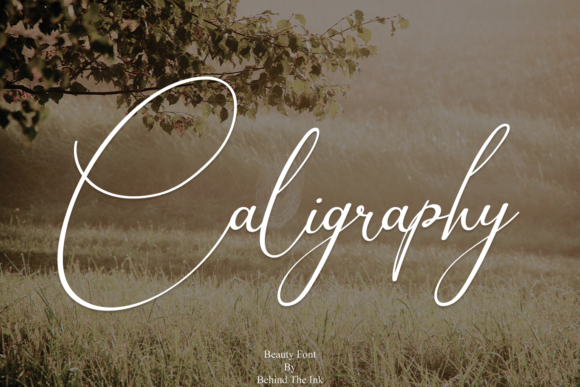 Caligraphy: A Dance of Ink and Elegance for Your Designs