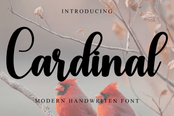 Cardinal: Your Festive Design Secret Weapon